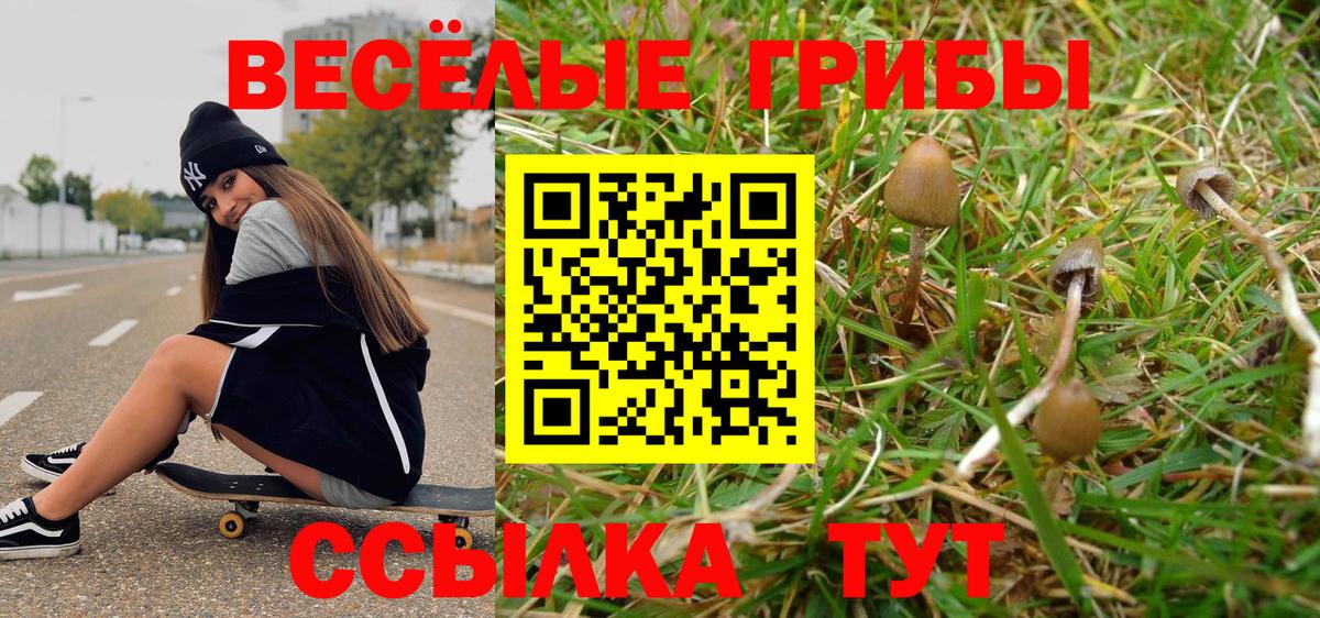 Дедовск  Галлюциногенные грибы GOLDEN TEACHER  купить наркотики сайты  Вход с VPN 